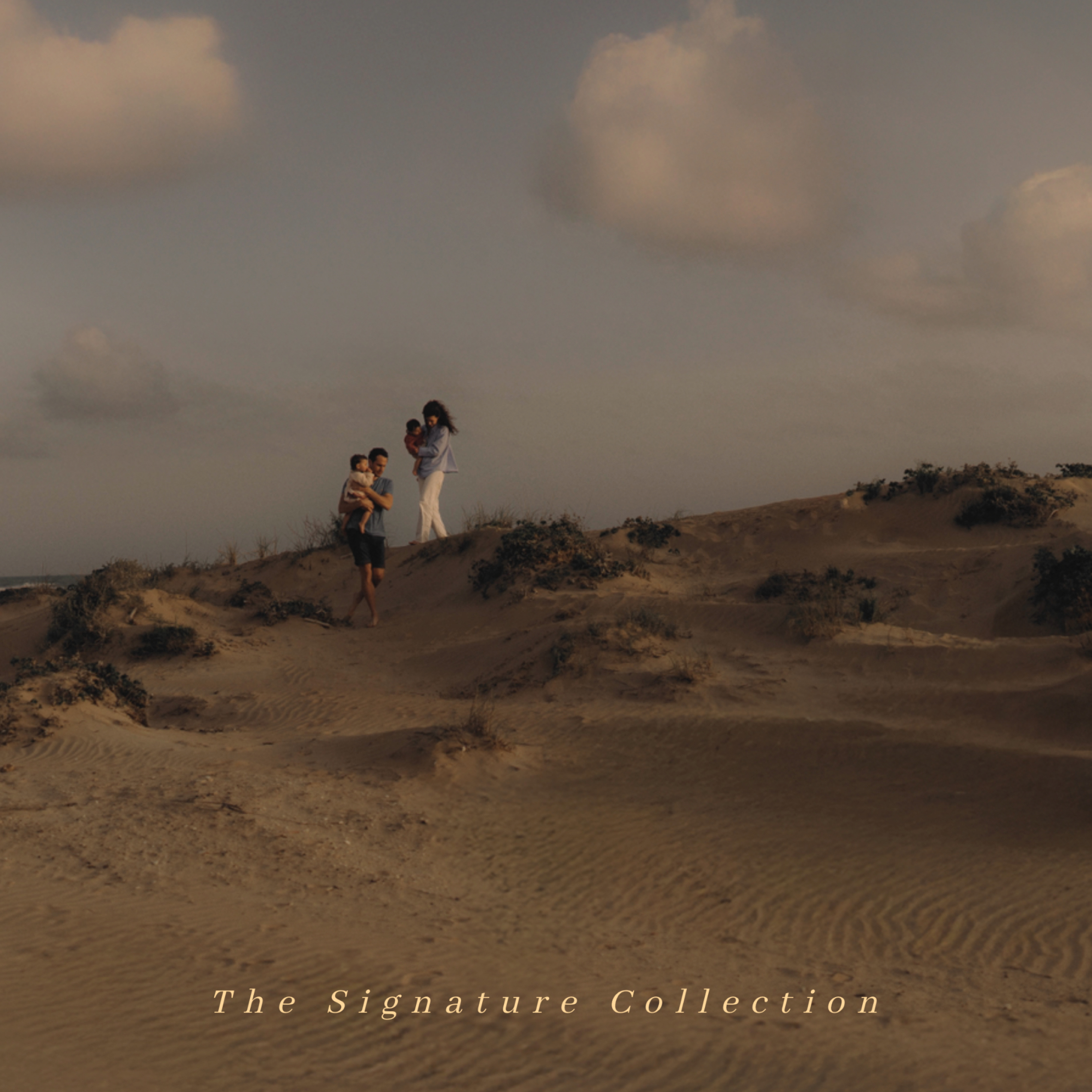 Radiant Earth Full Version